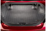 Ford Mustang Cargo & Trunk Liners