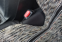 Saddleman Saddle Blanket Seat Covers photo by Stephanie H